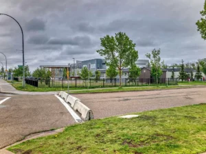 bd236dacc6a812e9eb3a24976d4506c9-cc_ft_960